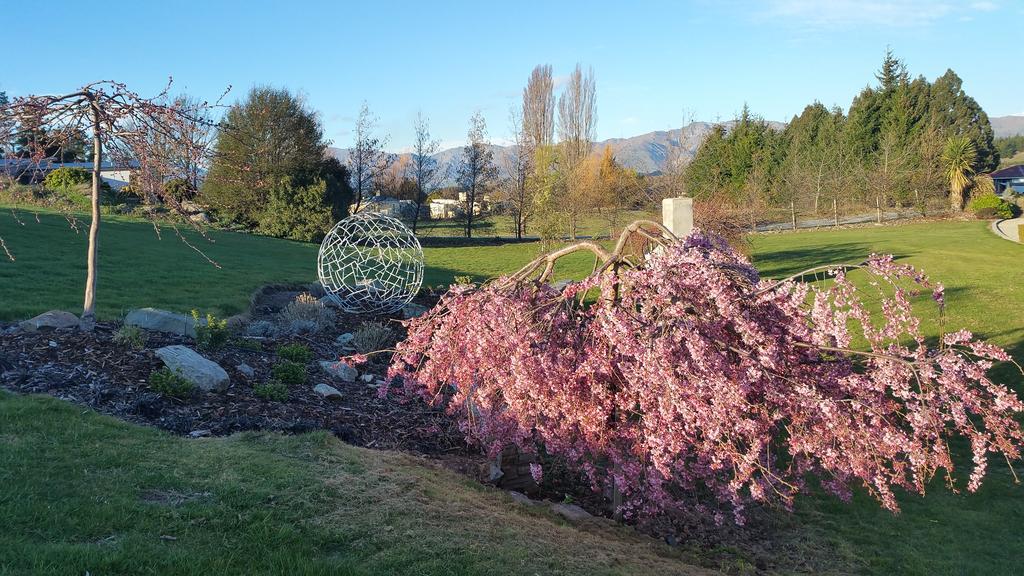 Wanaka Alpine Lodge Exterior foto